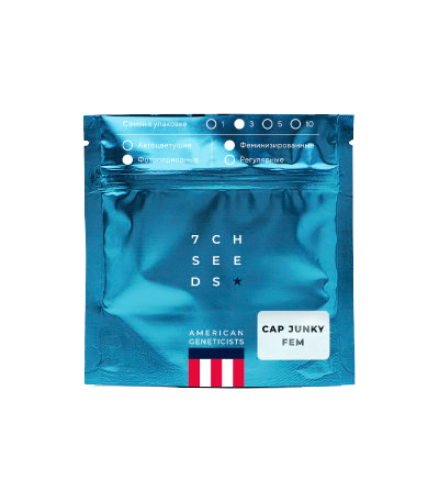 Семяныч Cap Junky fem