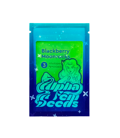 Семяныч Blackberry Moonrocks fem