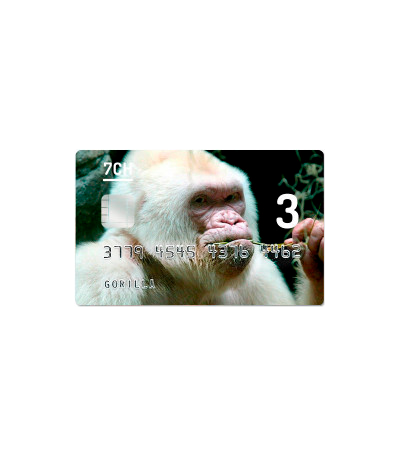 Семяныч Gorilla fem